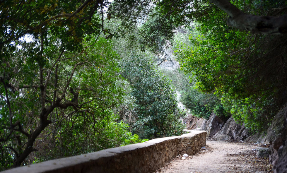 Partout, la sécheresse règne.