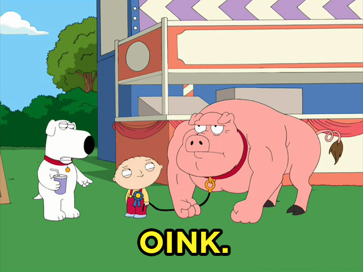 family guy peter funny