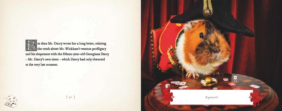 A Guinea Pig Pride & Prejudice by Alex Goodwin