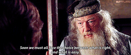 Dumbledore is like a wise grandpa that we all wise we had. He was truly fearless. Harry Potter would not of grown as brave and courageous as he did without the help of Dumbledore and his ceaseless advice. Those who have not read the books or seen the movies will never know the impact Dumbledore has made on us all.