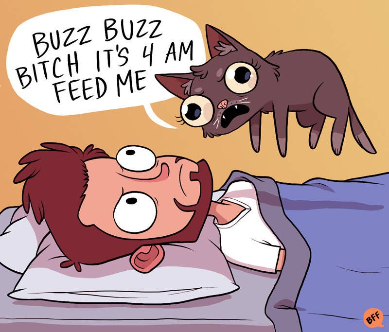 Pet Me, Cats don't know what they want From Adam Ellis  ( and They Can't Talk  (