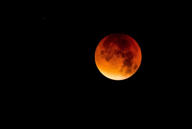 Image result for yesterday's lunar eclipse