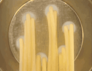 22 Mesmerizing Pasta Gifs You Won T Be Able To Stop Watching Animaker's modern online gif creator lets you. 22 mesmerizing pasta gifs you won t be