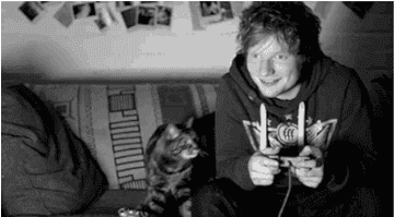 Https Encrypted Tbn0 Gstatic Com Images Q Tbn 3aand9gcqyp Gwaluhnzp7yczgscvzt6badzfmtgreopigw5oqc5badg0p