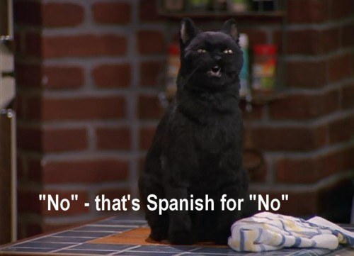 Of course your cat knows multiple languages. It's magical.