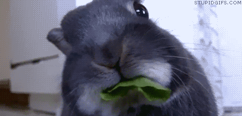 "This is my life now and I'm better for it. Except when I'm hungover – then I get Big Macs"