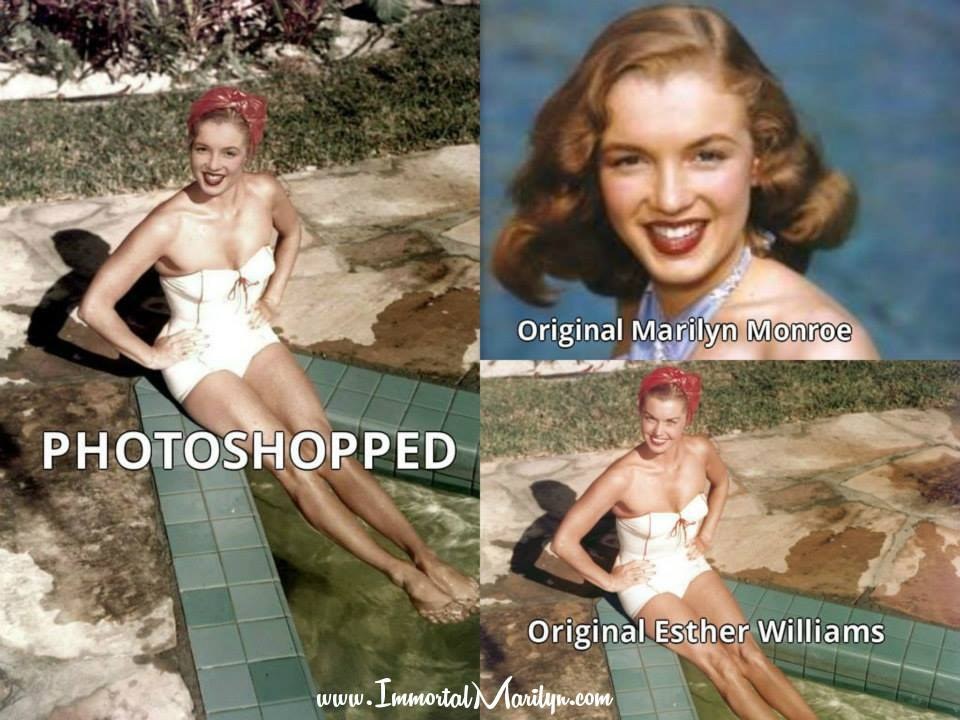 Examples of fake pictures 