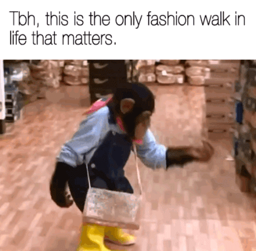 "If it isn't cute little animals in cute little clothes doing cute little walks, I don't want to hear about it."