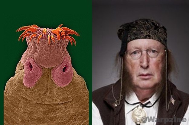 Celebrity Big Brother contestants are still unsure as to which one they'd rather live with.