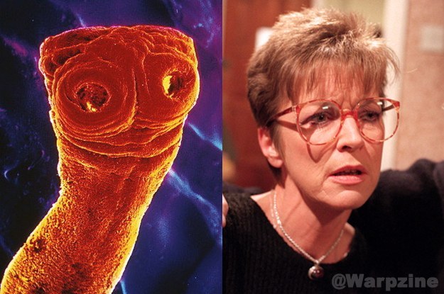 I've certainly never seen these two in the same room, or Corrie episode.