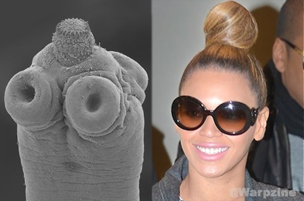 If you liked it, then you should've put a ringworm on it.