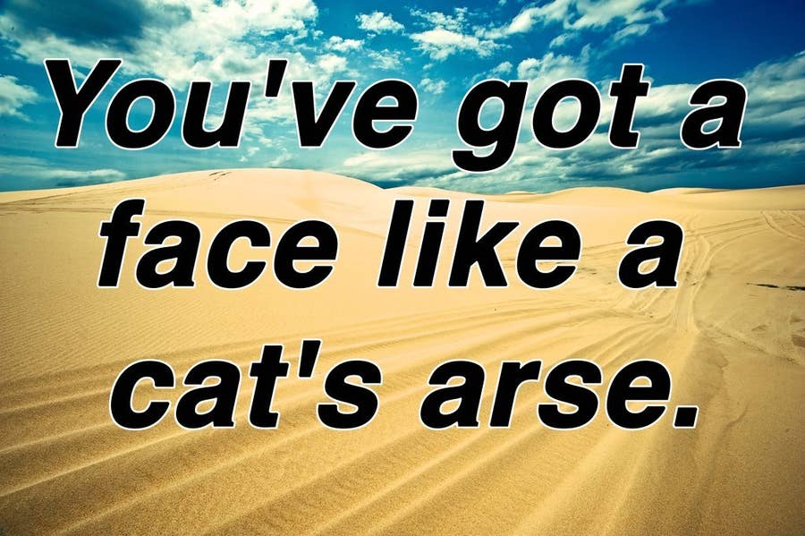 Priscilla Queen Of The Desert Quotes Best Quotes From 'The Adventures