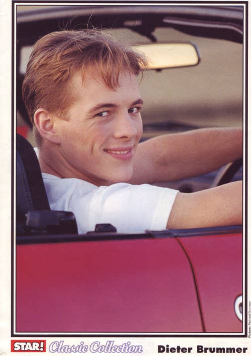 For Everyone Who Was Obsessed With Dieter Brummer Growing Up