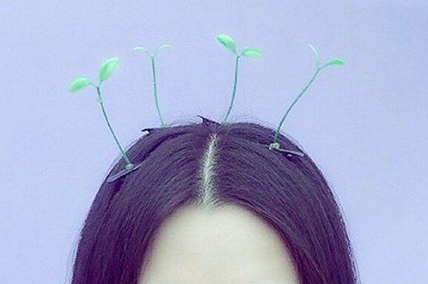 Bean Sprout Hair Clips