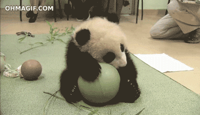 Tierno, bonito, mono.