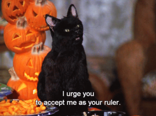 Salem might be the most sarcastic talking pet in TV history. Plus, those animatronics!