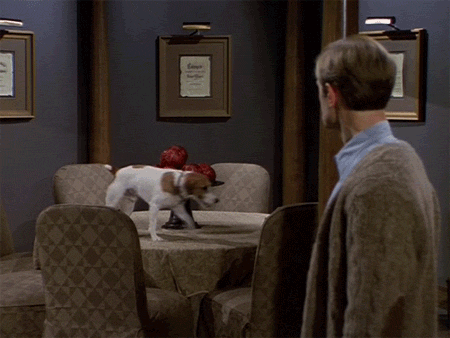It only took a few awkward staring contests and one-sided conversations with Frasier Crane for Eddie to become one of the most beloved TV pets of the '90s.