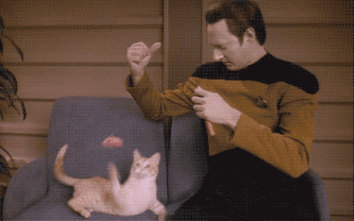 Speaking of cats living with aliens, Spot lived on a starship and helped Data (a cyborg) relate to the human experience. Obviously Data wasn't human, and Spot probably loved that about him.