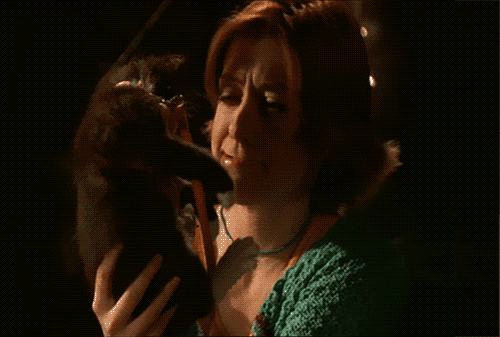 Buffy and Willow's kitten didn't really do much in the show, but she has the best pet name in television history, so there's that!