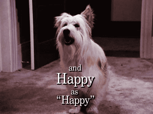 He never really did anything phenomenal, but Happy gets bonus points for using his real name on the show!