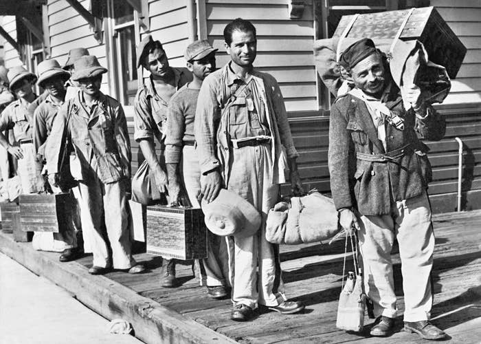 Betaling Banzai Hverdage 19 Photos That Show What Immigration In Australia Used To Be Like
