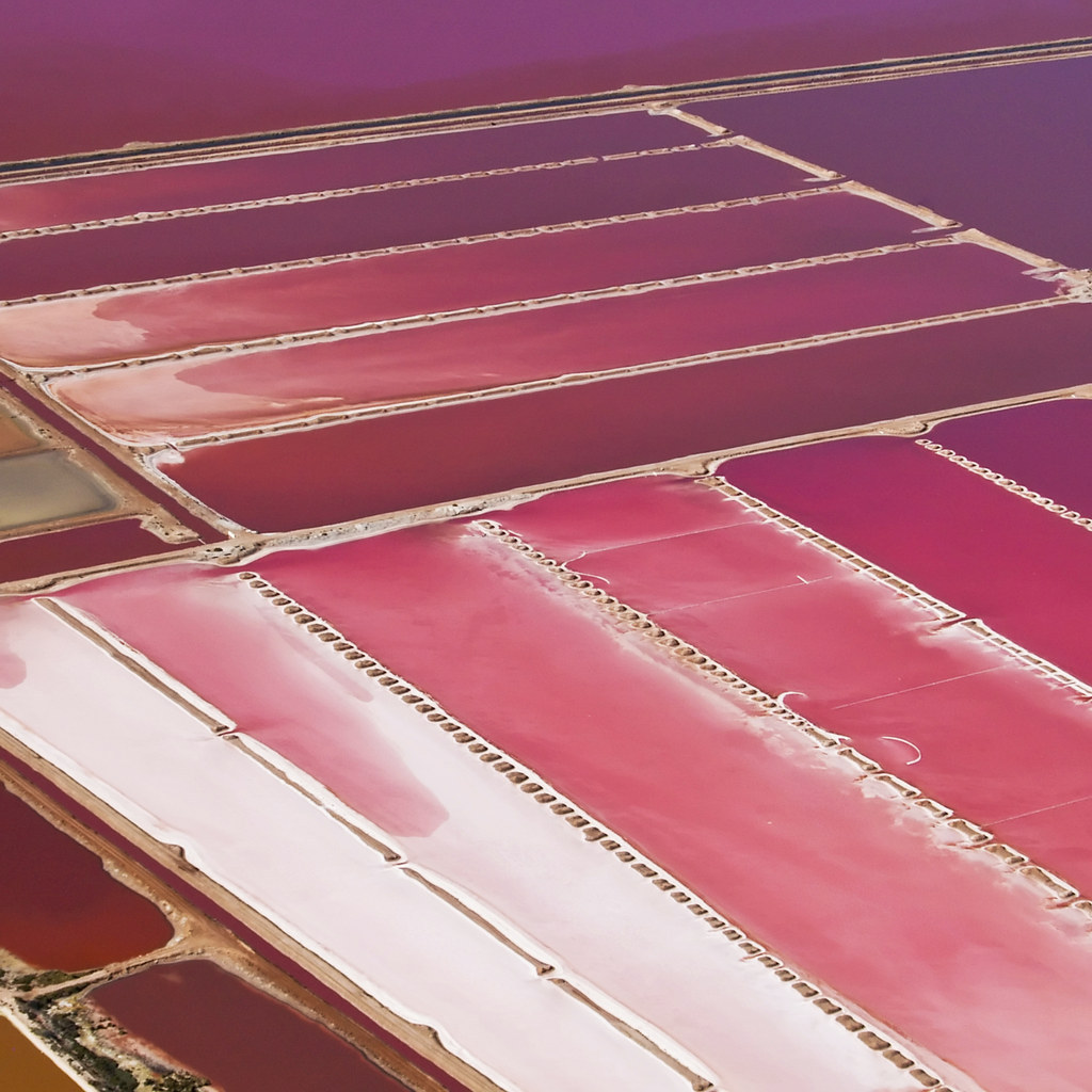Das Pink "entsteht durch Mikro-Organismen in einem Salzsee, die Beta-Carotin produzieren."