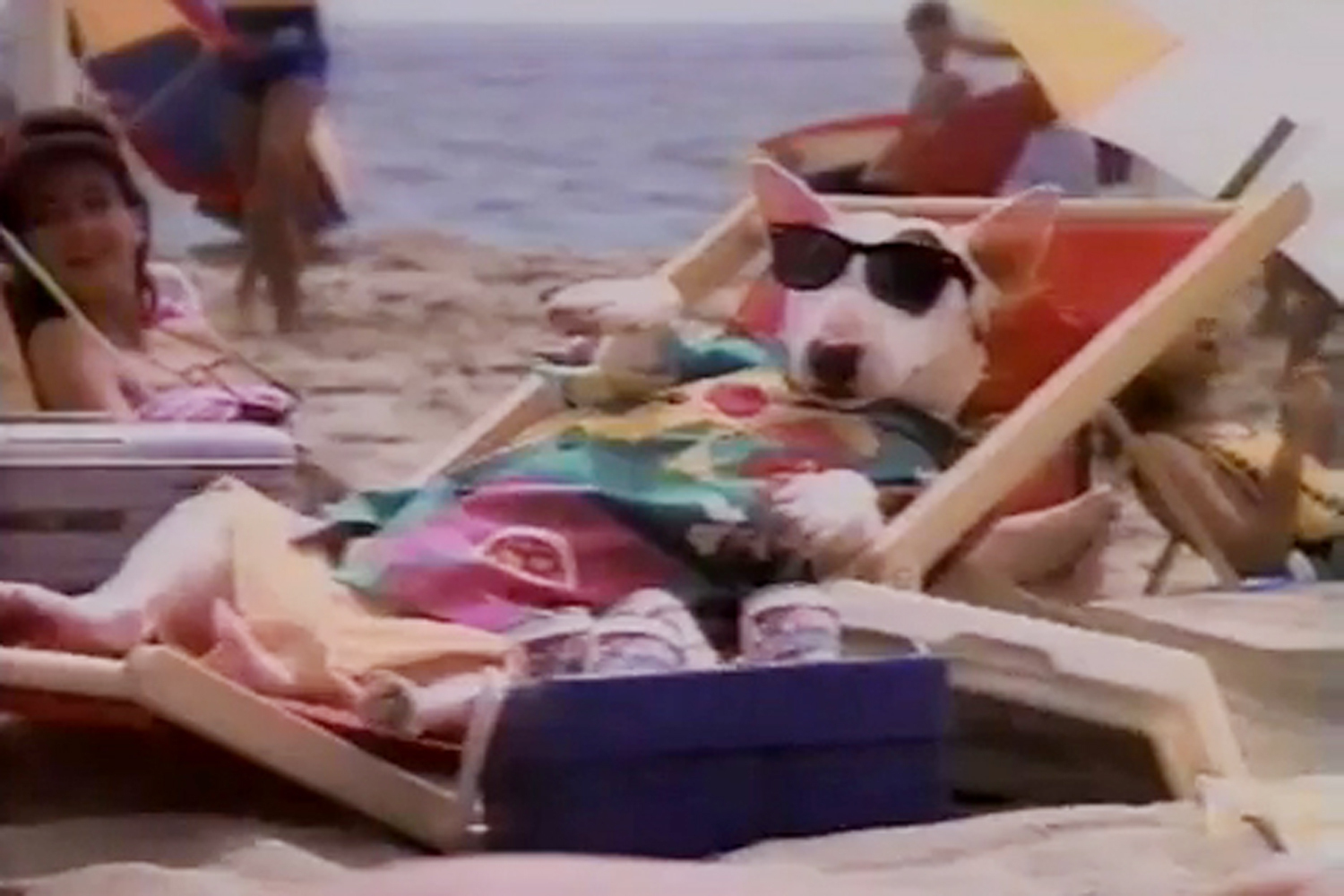 This pitbull who caused millions of children to deaden their minds with alcohol. Not cool, Spuds. Not cool.
