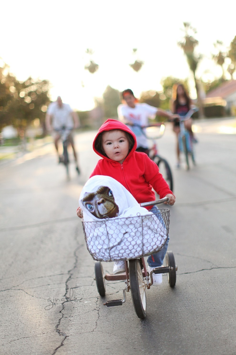 Halloween costume one on sale year old