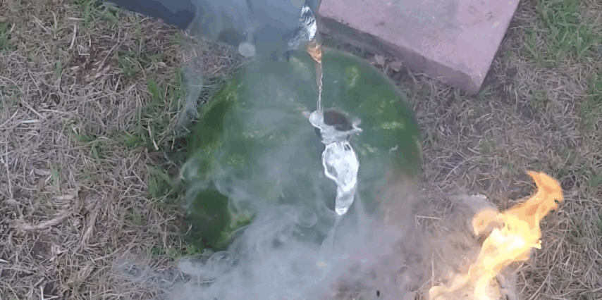 TheBackyardScientist demonstrates science in action through zany experiments in a backyard including pouring molten aluminium into a watermelon, a pool ,and a live toaster.