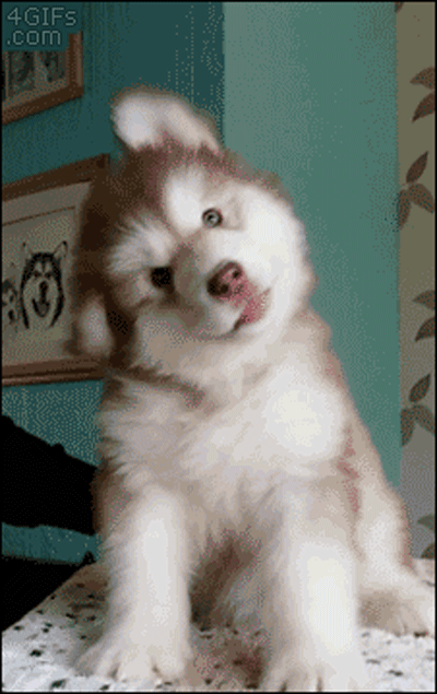 "OMG! I have water in my ears!"