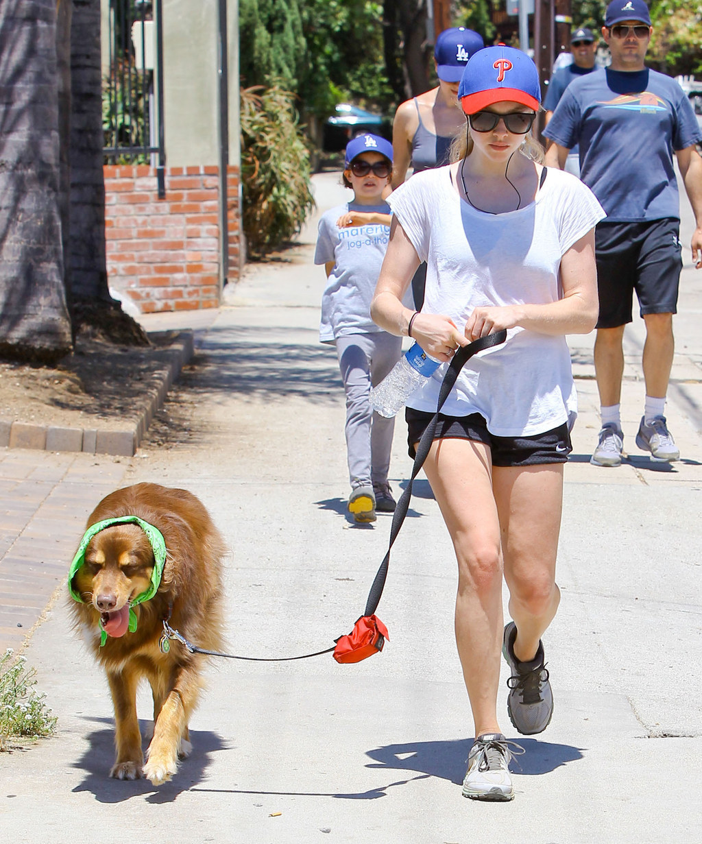 Amanda Seyfried's Dog Is Actually Regina George