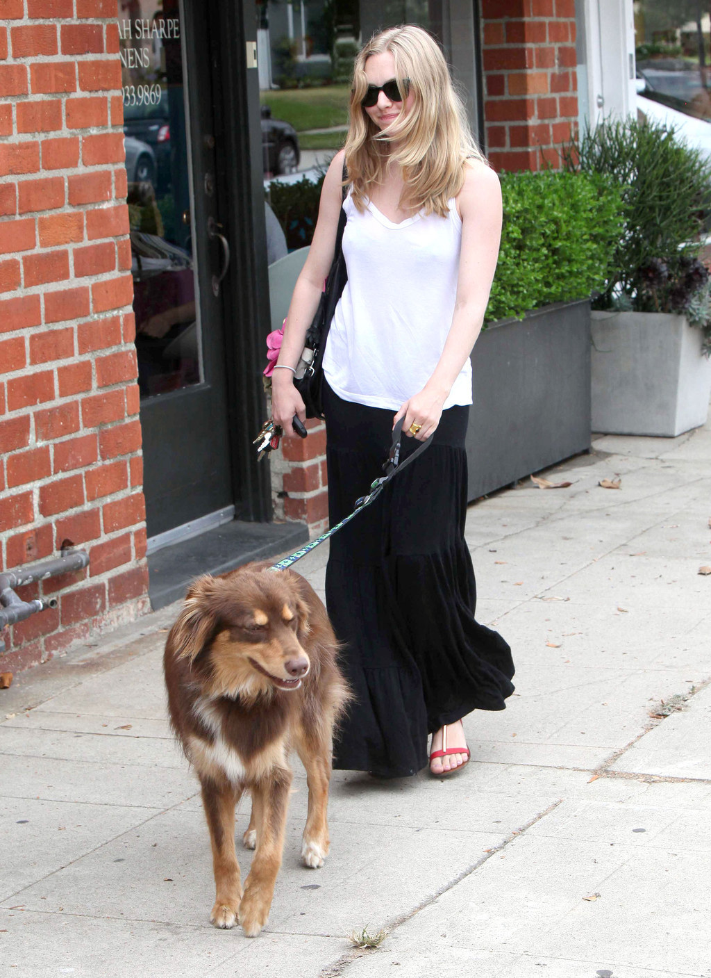 Amanda Seyfried's Dog Is Actually Regina George
