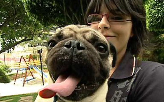O pug Nick desempenhou um papel central na recuperação de Caroline Rachel segundo o próprio médico dela.