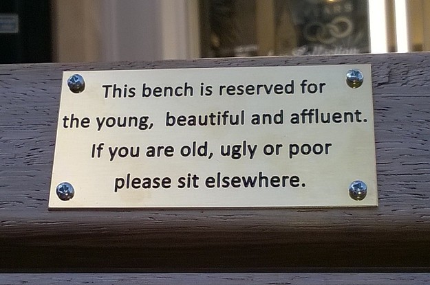 Artists Used Park Bench Plaques To Troll A City Council