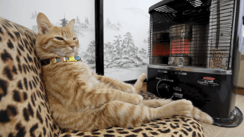 Rien de tel pour rendre l'air sec.