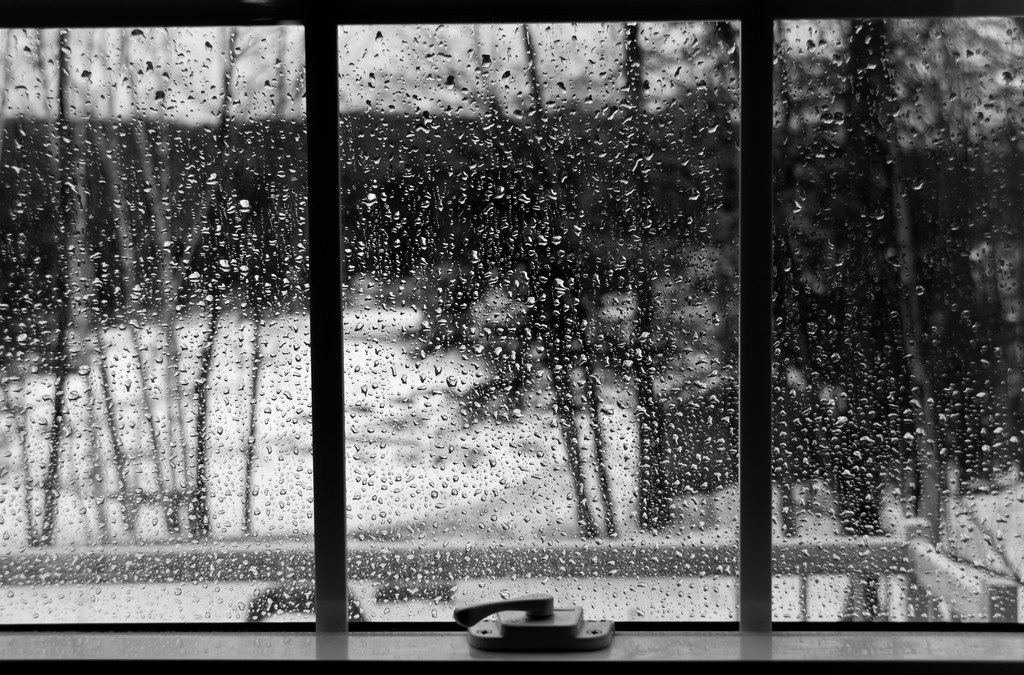 19-photos-you-ll-appreciate-if-you-love-rainy-days