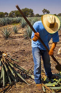 23 Photos That Prove You Need More Mexico In Your Life