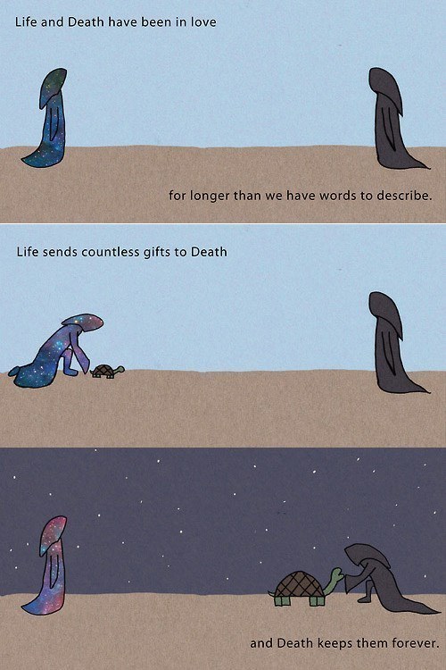 28 Profoundly Beautiful Quotes About Life And Death