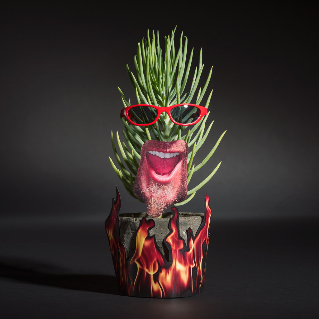 Hell yeah. This plant is ready for Flavortown!