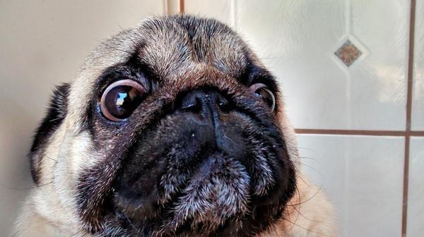 "Mas espera, você saiu quinta, sexta E sábado?"