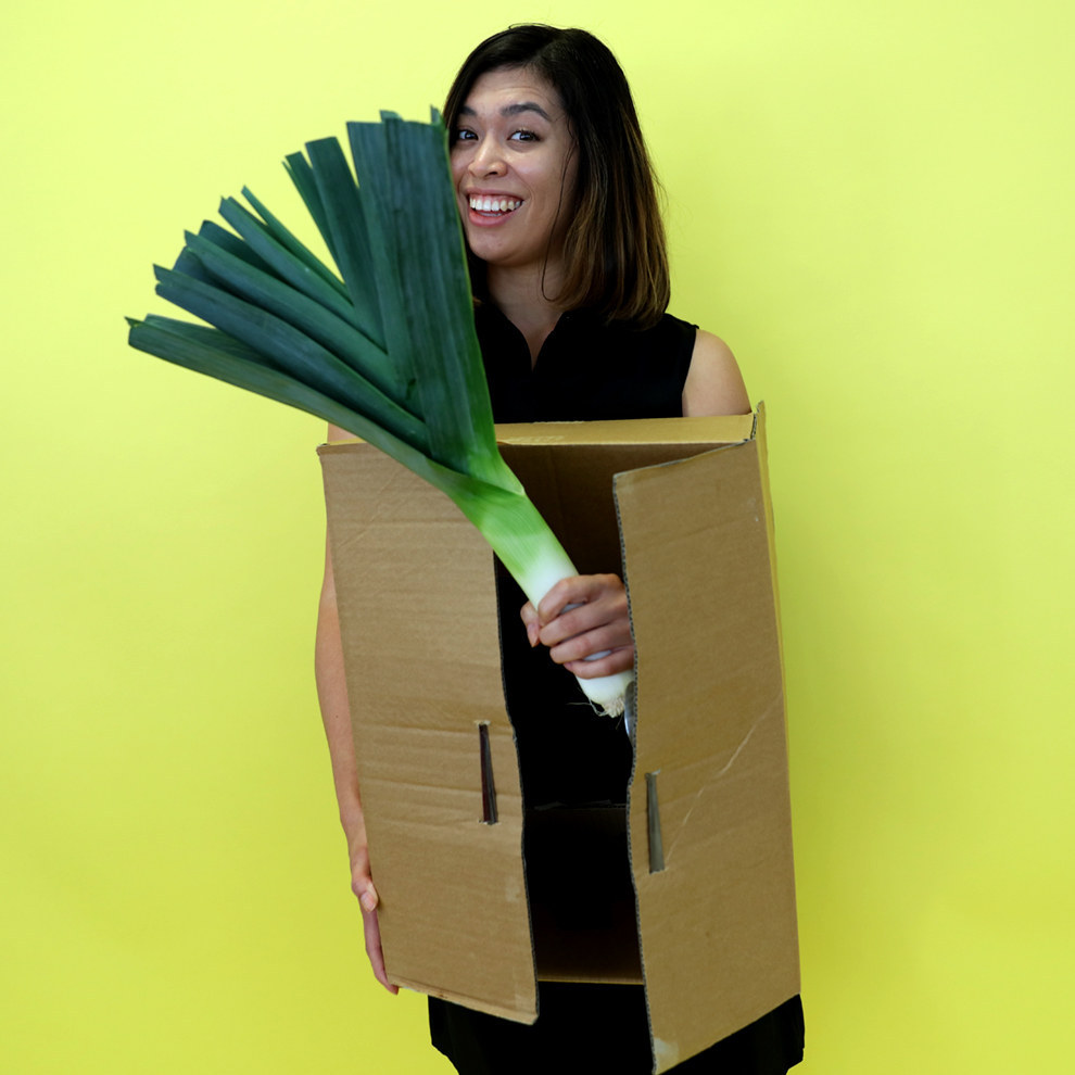 Make handles out of cutlery and then fill your cabinet with leeks! Make it extra dank by getting someone else at the party to leak about your costume ahead of time.WHAT YOU NEED- Cardboard box- Two spoons- A leek MAKE IT SEXY:- Don't wear anything under the box