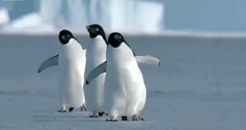 Finalement, tu trouves ça laid et t'as trop chaud.