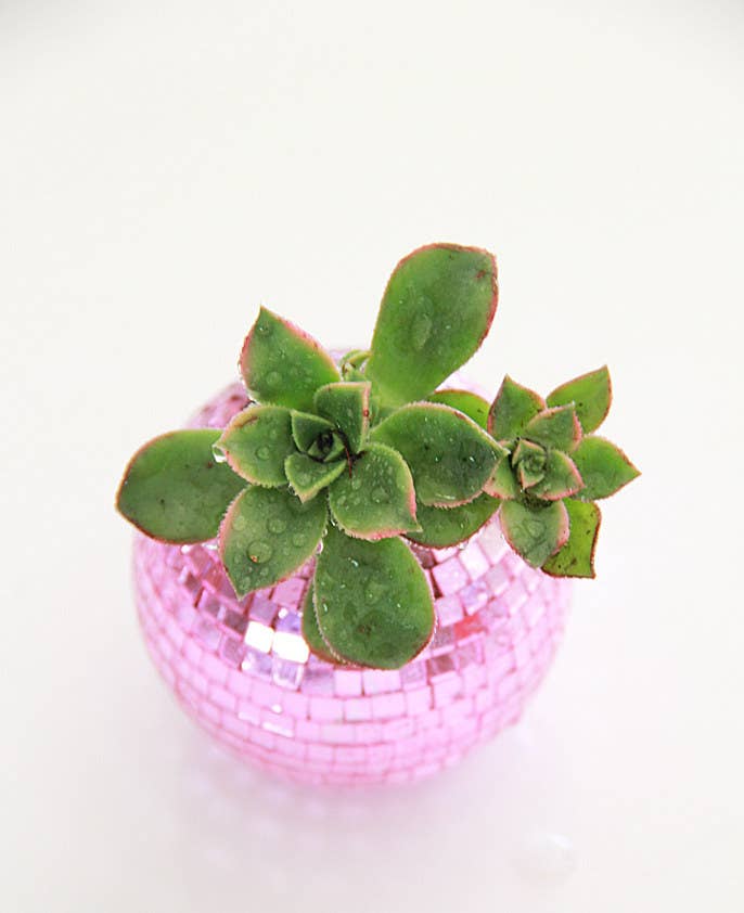 Do the hustle whenever you look at them.Get the tutorial at A Bubbly Life.