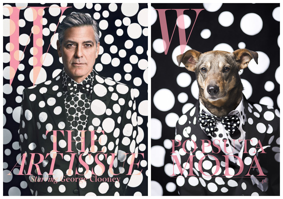 Rescue Dogs Re-Create Fashion Magazine Covers And It's Painfully Cute