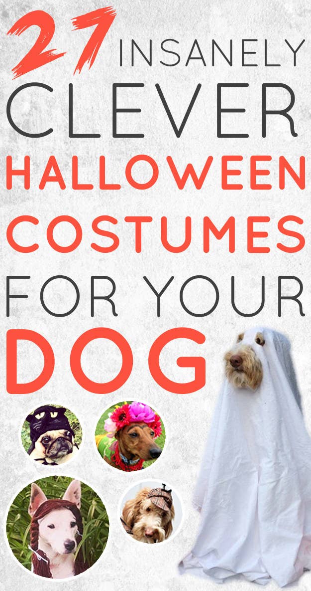 27 Insanely Clever Halloween Costumes For Your Dog
