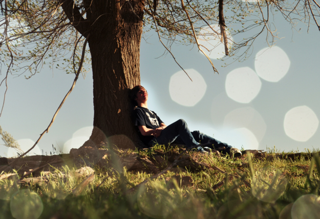 The Dreamer