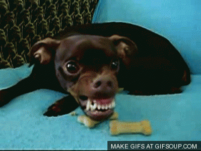 ...and realize that their dog is actually a monster.