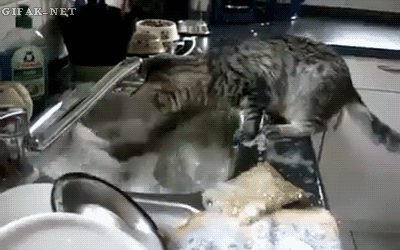 ...and realize your friend doesn't have a dishwasher.