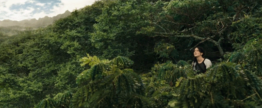 The weapon the Tributes used to their advantage during the Quarter Quell.