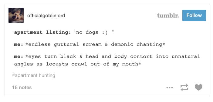 31 Apartment Hunting Tips Everyone Needs To Know